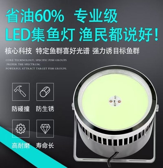惠州集鱼灯